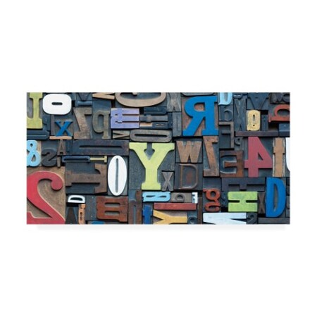 Trademark Fine Art Holli Conger 'Typography Photography 6' Canvas Art, 16x32 ALI47437-C1632GG